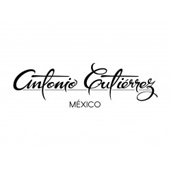 Antonio Gutierrez