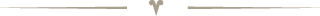 separador_abajo.png